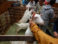 DSCN9263.JPG