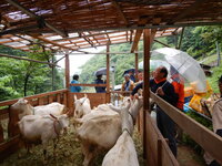 DSCN9272.JPG