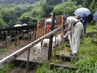 DSCN9279.JPG