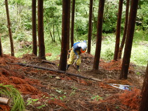 DSCN9451.JPG