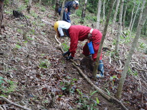 DSCN9455.JPG
