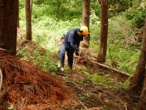 DSCN9503.JPG