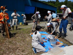 DSCN9541.JPG