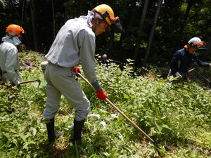 DSCN9557.JPG