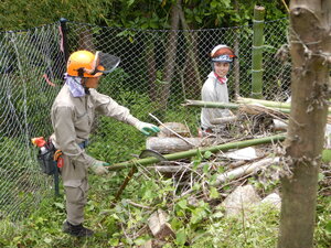DSCN9563.JPG