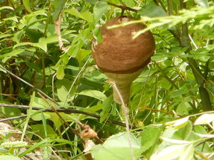 DSCN9585.JPG
