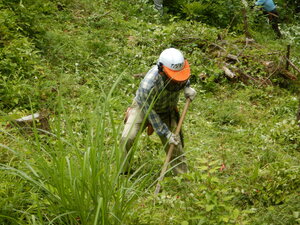DSCN9597.JPG