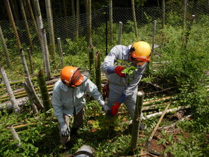 DSCN9612.JPG