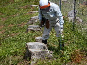 DSCN9619.JPG