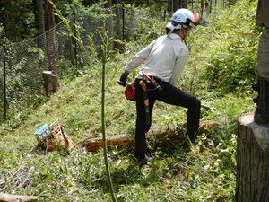 DSCN9626.JPG