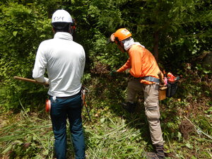 DSCN9692.JPG