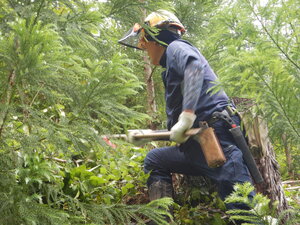 DSCN9744.JPG