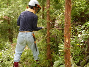 DSCN9764.JPG