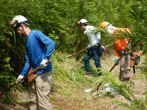 DSCN9770.JPG