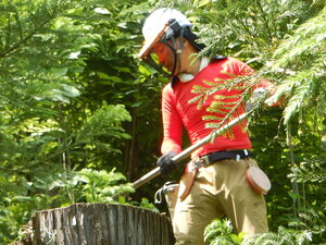 DSCN9779.JPG