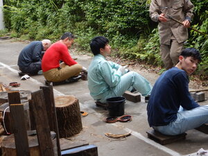 DSCN9782.JPG