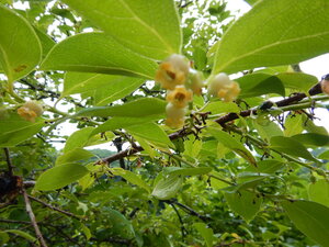 DSCN9862.JPG