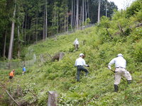 DSCN9918.JPG