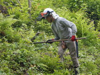 DSCN9953.JPG