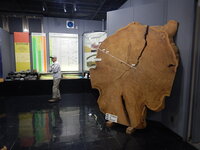 DSCN8267.JPG