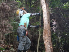 DSCN8991.JPG