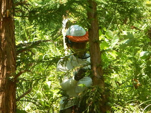 DSCN9425.JPG