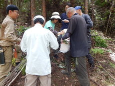 DSCN0520.JPG