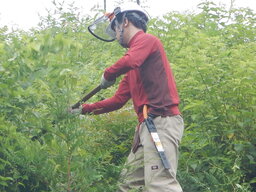 DSCN0004.JPG
