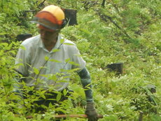 DSCN0062.JPG