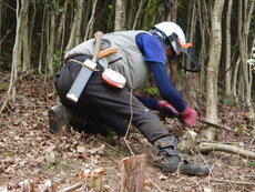 DSCN9008.JPG
