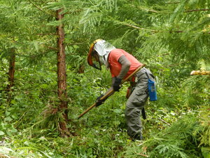 DSCN0812.JPG