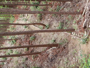 DSCN9031.JPG