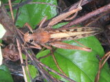 DSCN0008.JPG
