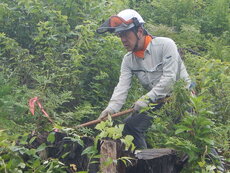 DSCN0020.JPG