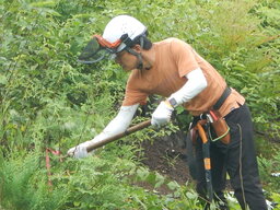 DSCN0040.JPG