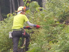 DSCN0052.JPG