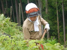 DSCN0068.JPG