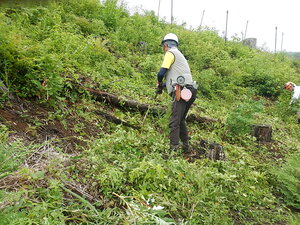 DSCN0105.JPG