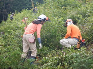 DSCN0108.JPG
