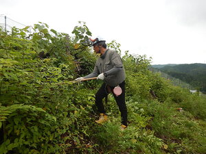 DSCN0114.JPG