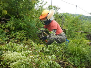 DSCN0129.JPG