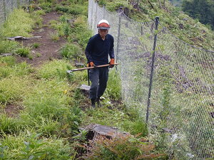DSCN0134.JPG