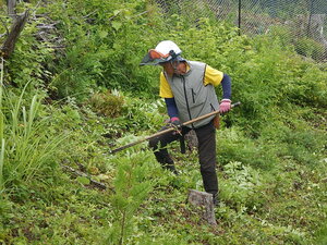 DSCN0147.JPG