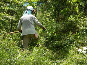 DSCN0359.JPG