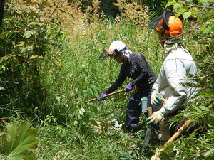 DSCN0363.JPG