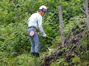 DSCN0461.JPG