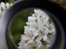 DSCN0467.JPG