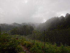 DSCN0499.JPG