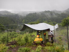 DSCN0501.JPG
