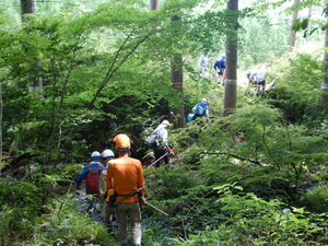 DSCN0555.JPG
